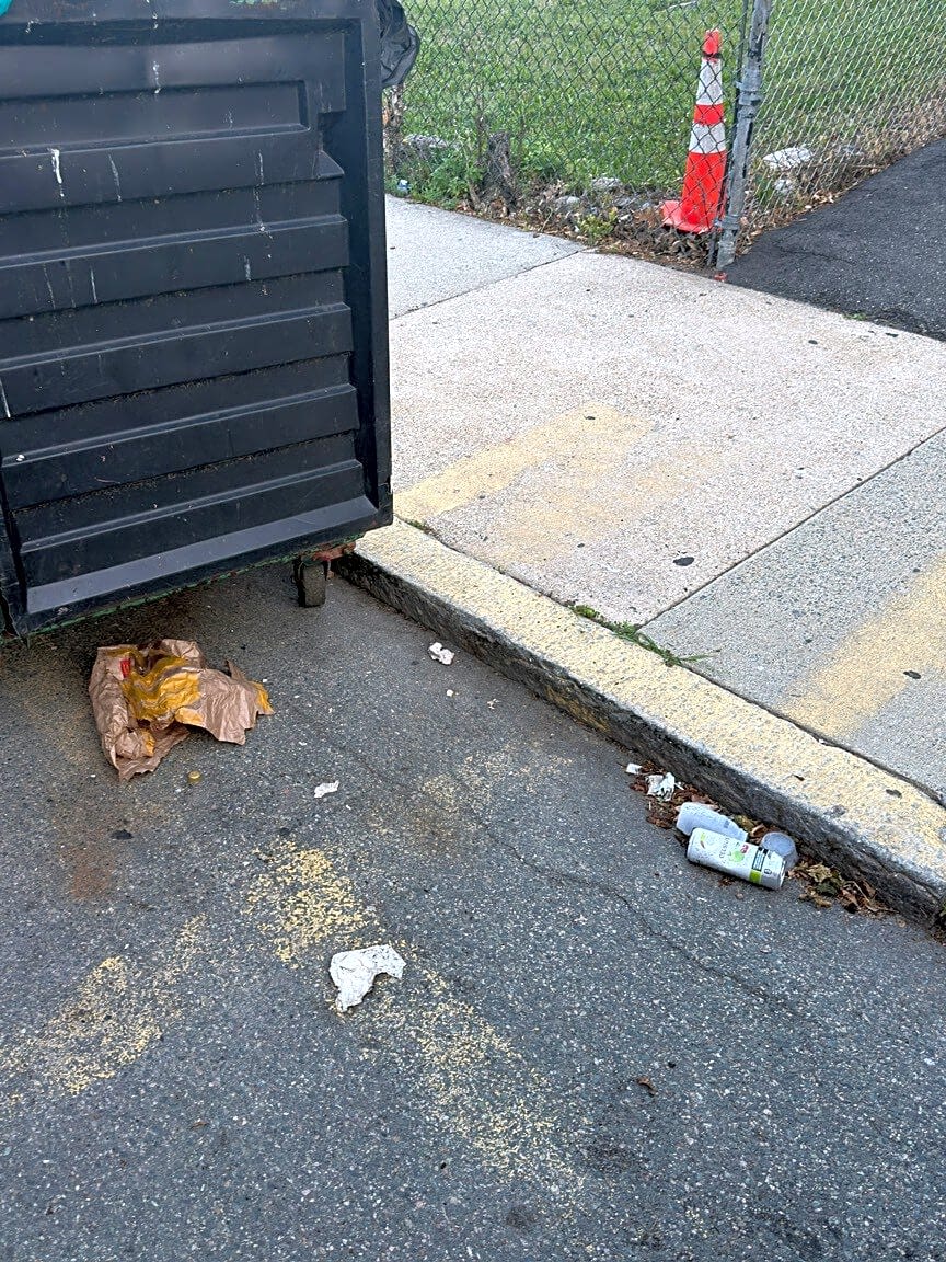 Image submitted with report