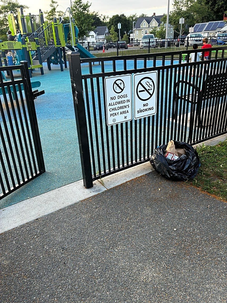 Image submitted with report