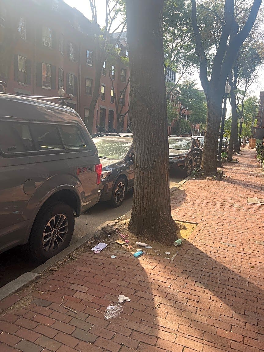 Image submitted with report