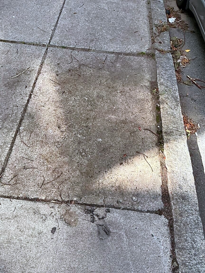 Image submitted with report