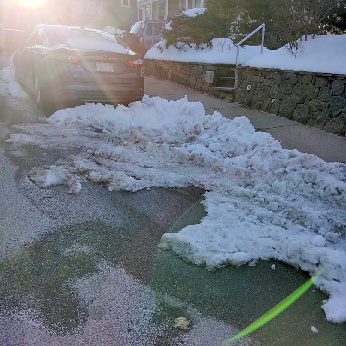 Image submitted with report