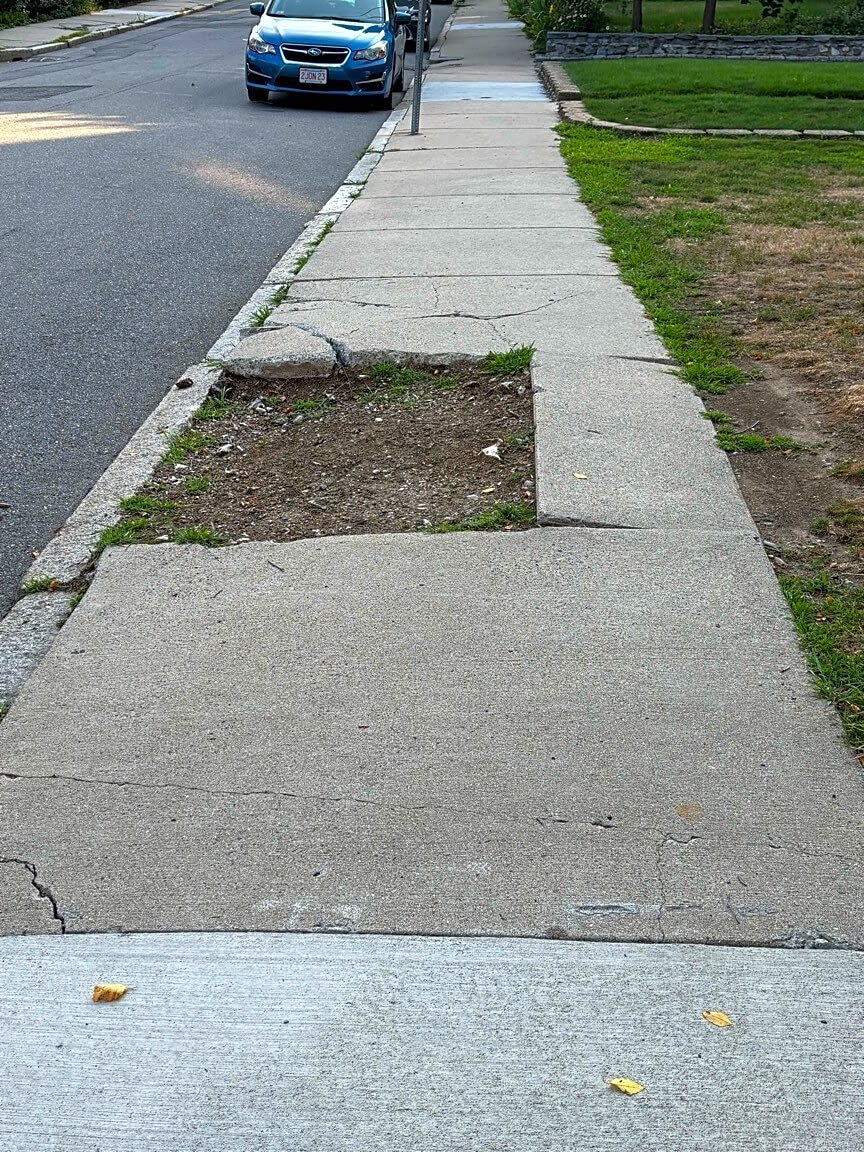 Image submitted with report