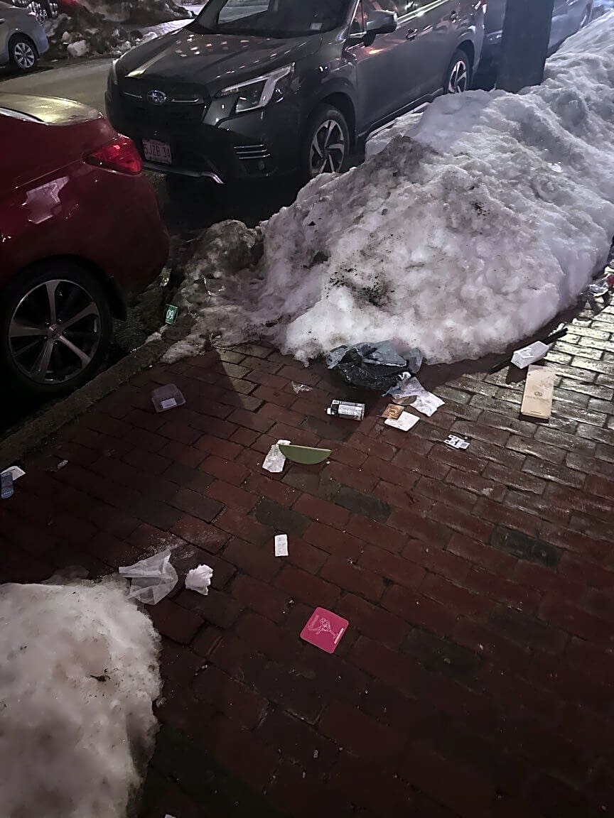 Image submitted with report