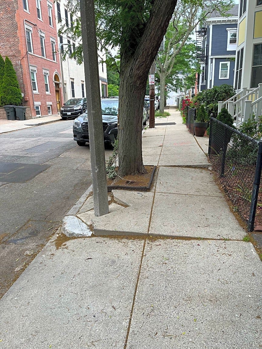 Image submitted with report
