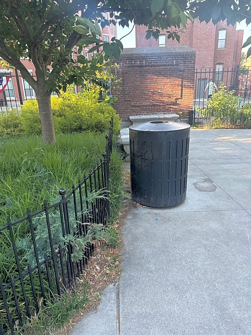 Image submitted with report
