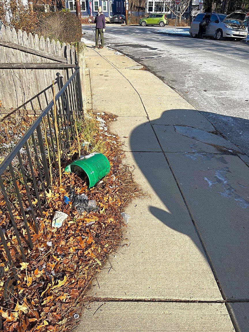 Image submitted with report