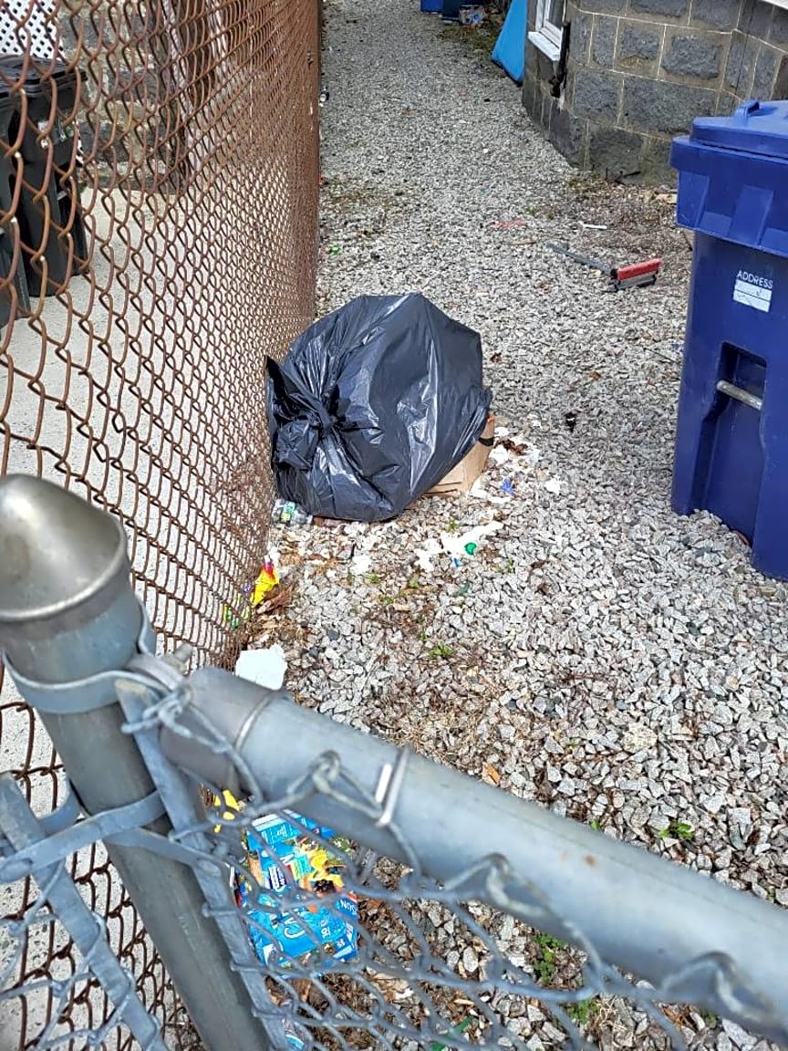 Image submitted with report