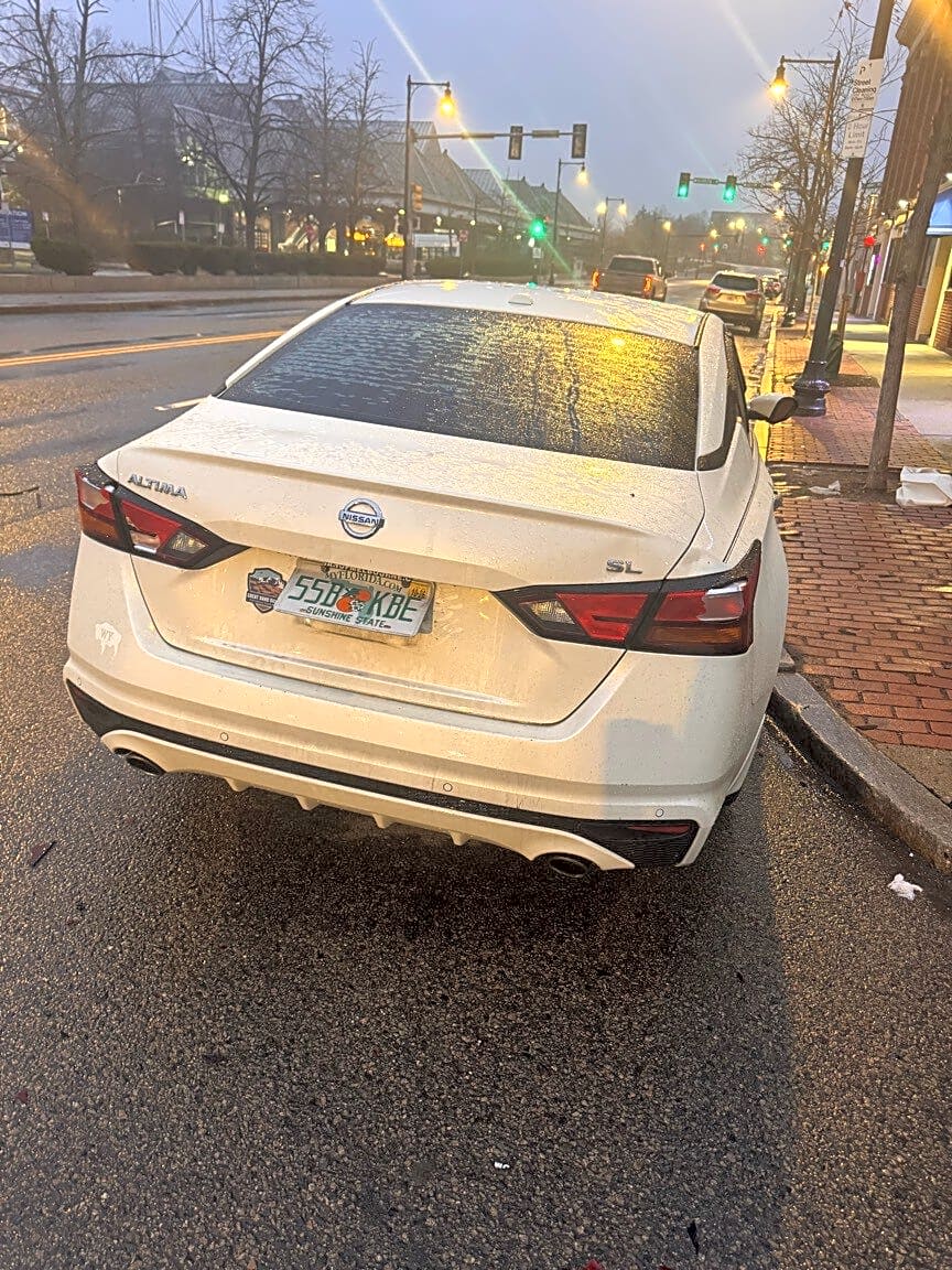 Image submitted with report