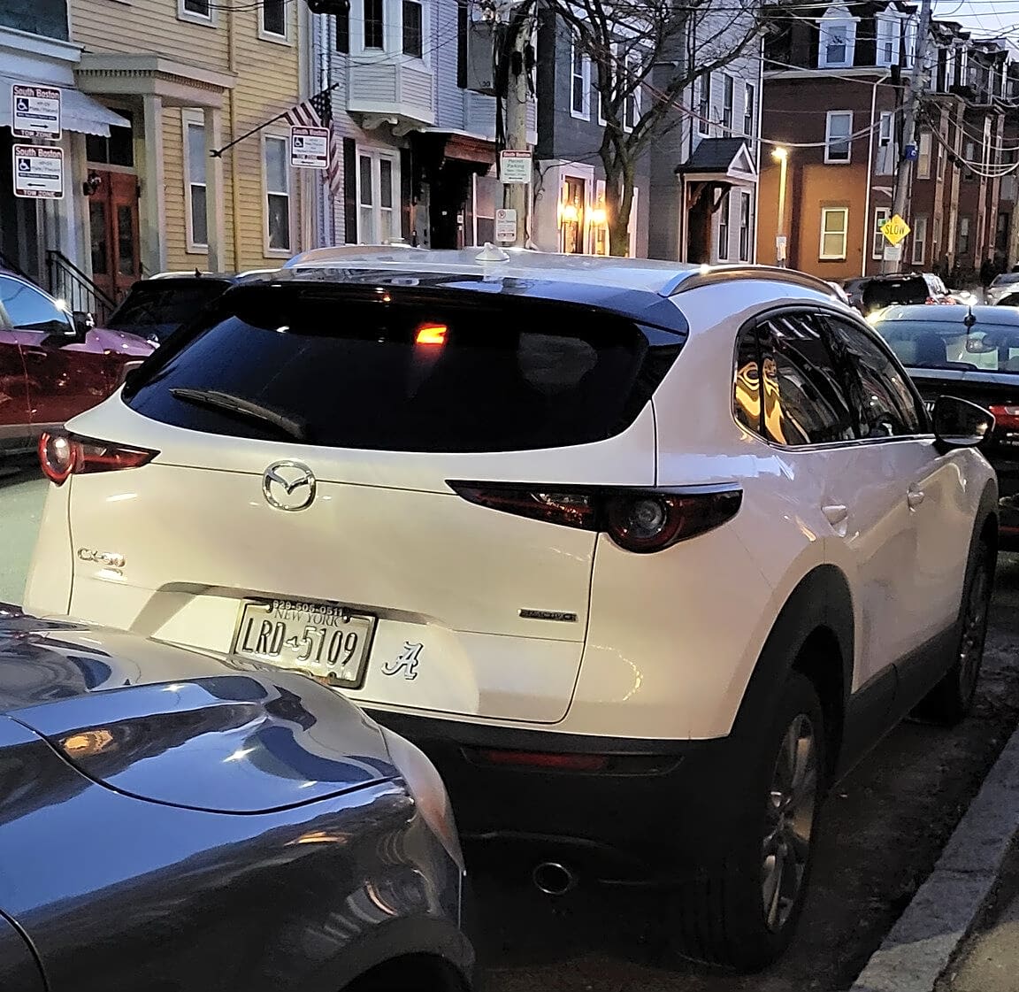 Image submitted with report