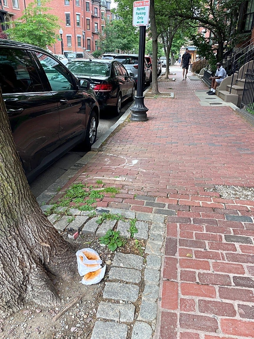 Image submitted with report