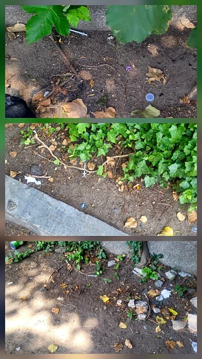 Image submitted with report