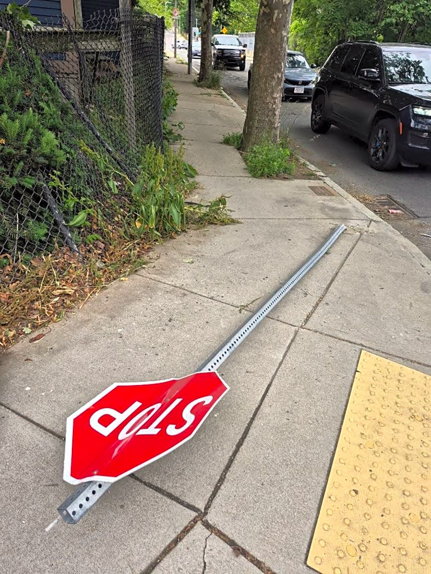 Image submitted with report