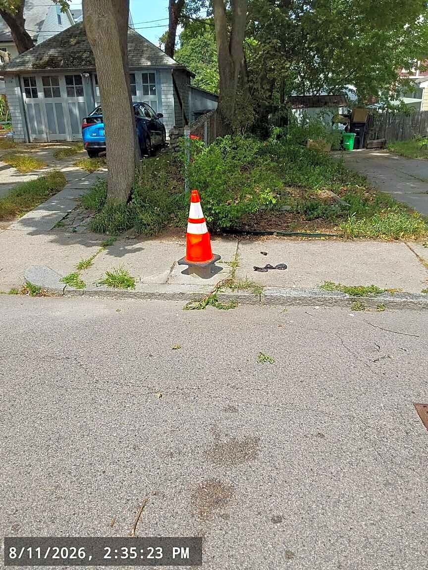 Image submitted with report