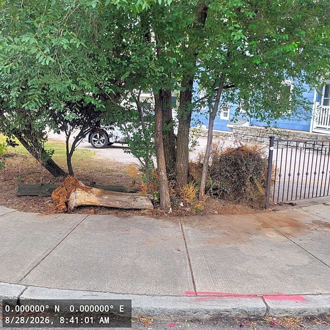 Image submitted with report