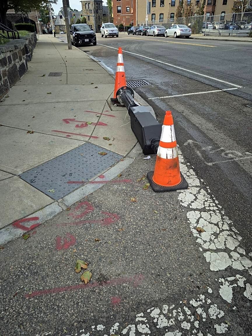 Image submitted with report