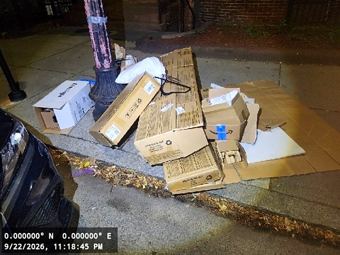 Image submitted with report