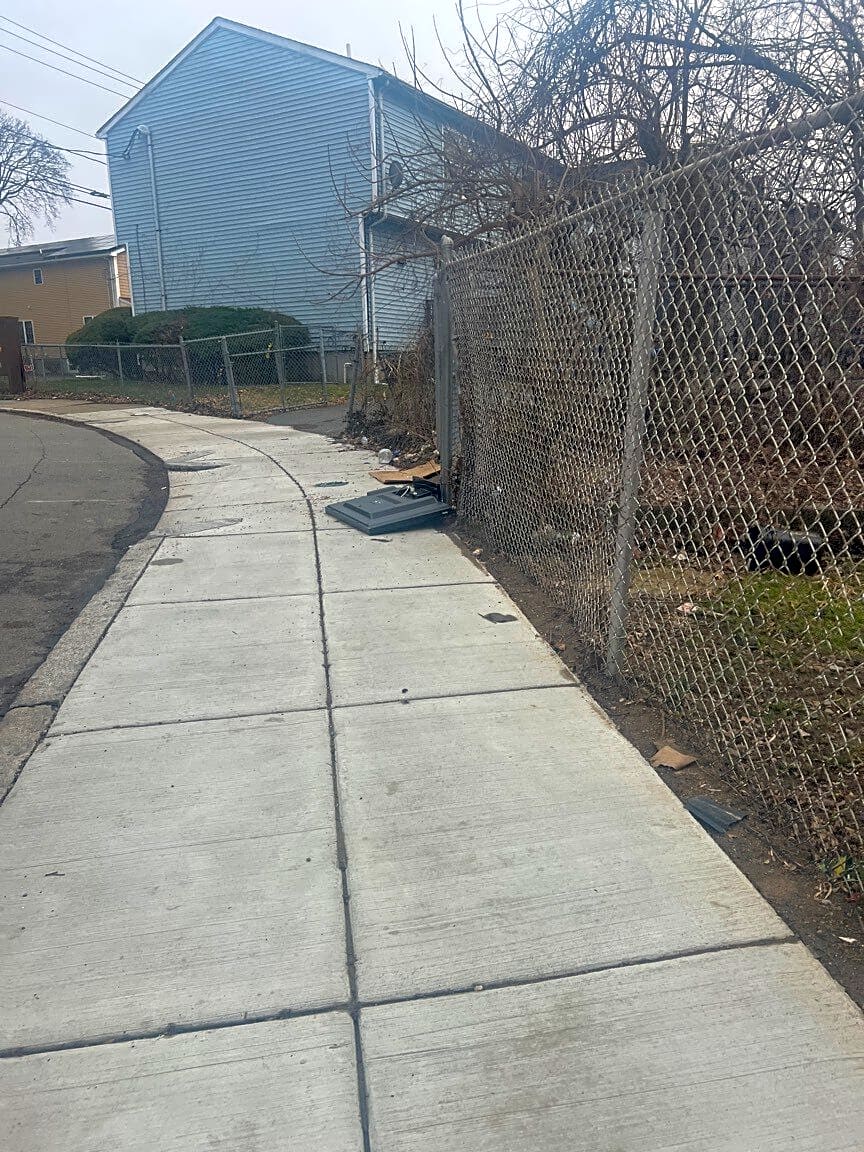 Image submitted with report