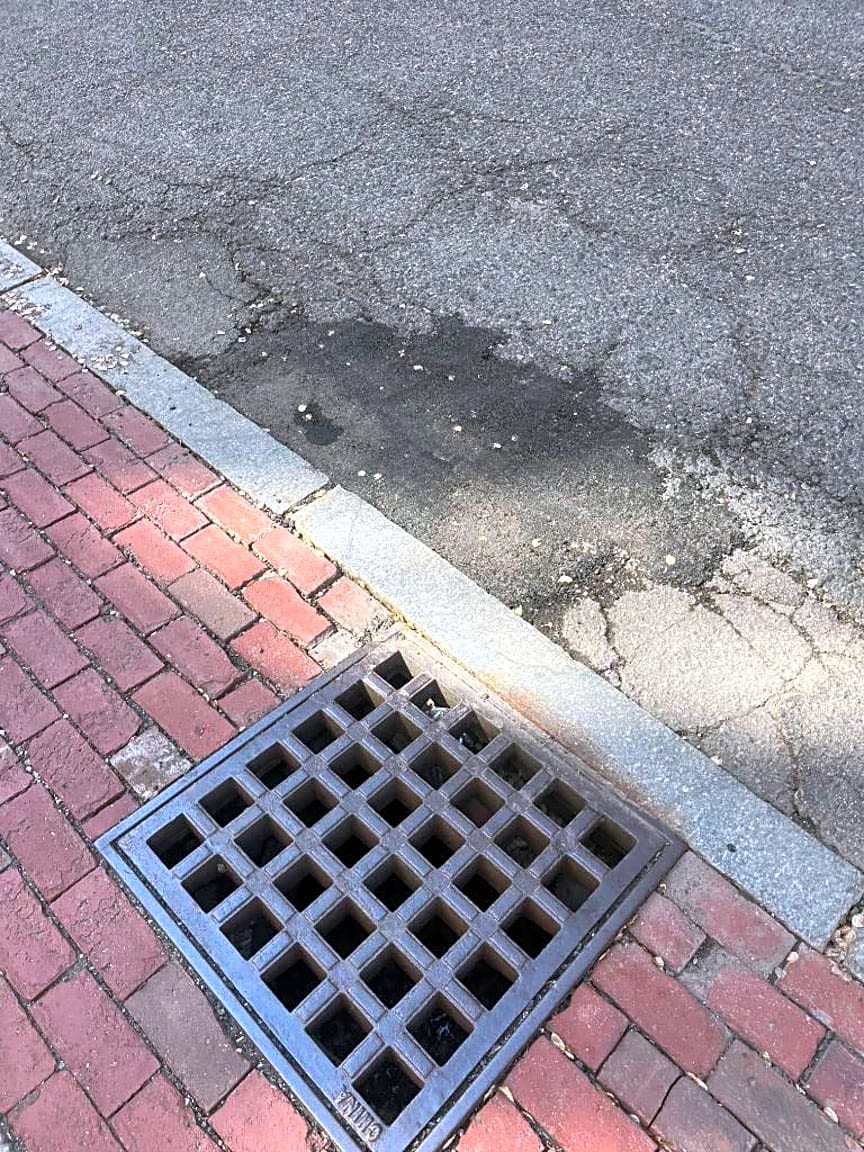 Image submitted with report