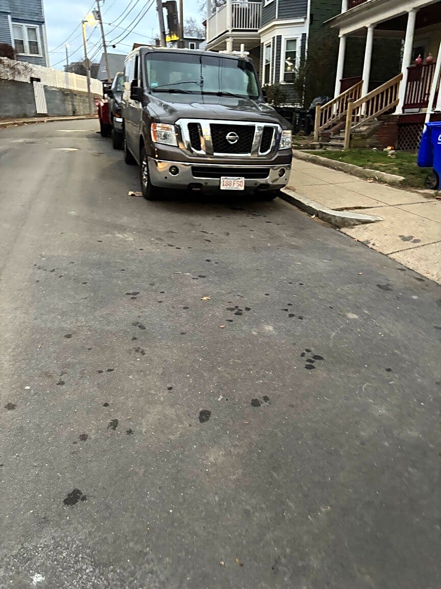 Image submitted with report