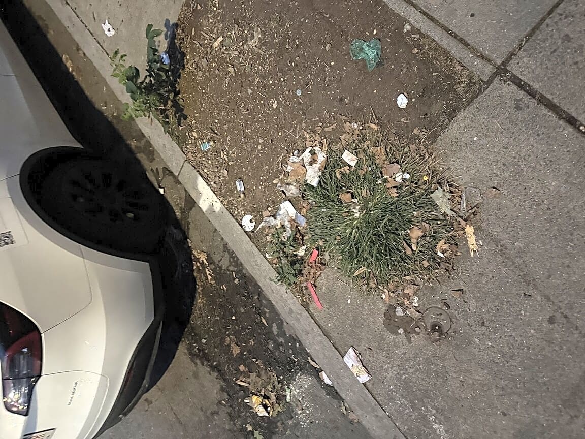 Image submitted with report