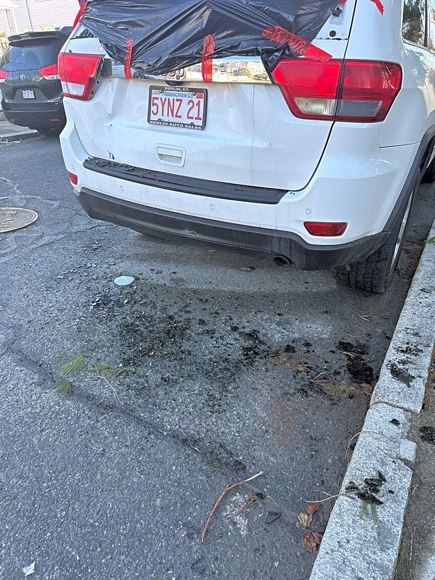 Image submitted with report