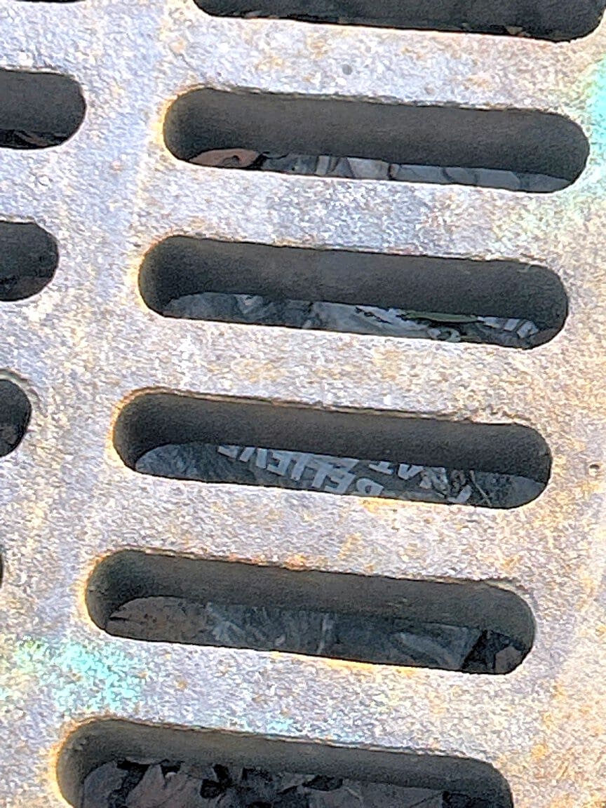 Image submitted with report