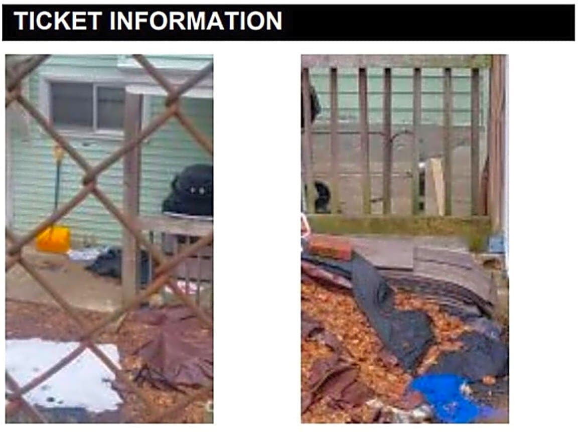 Image submitted with report