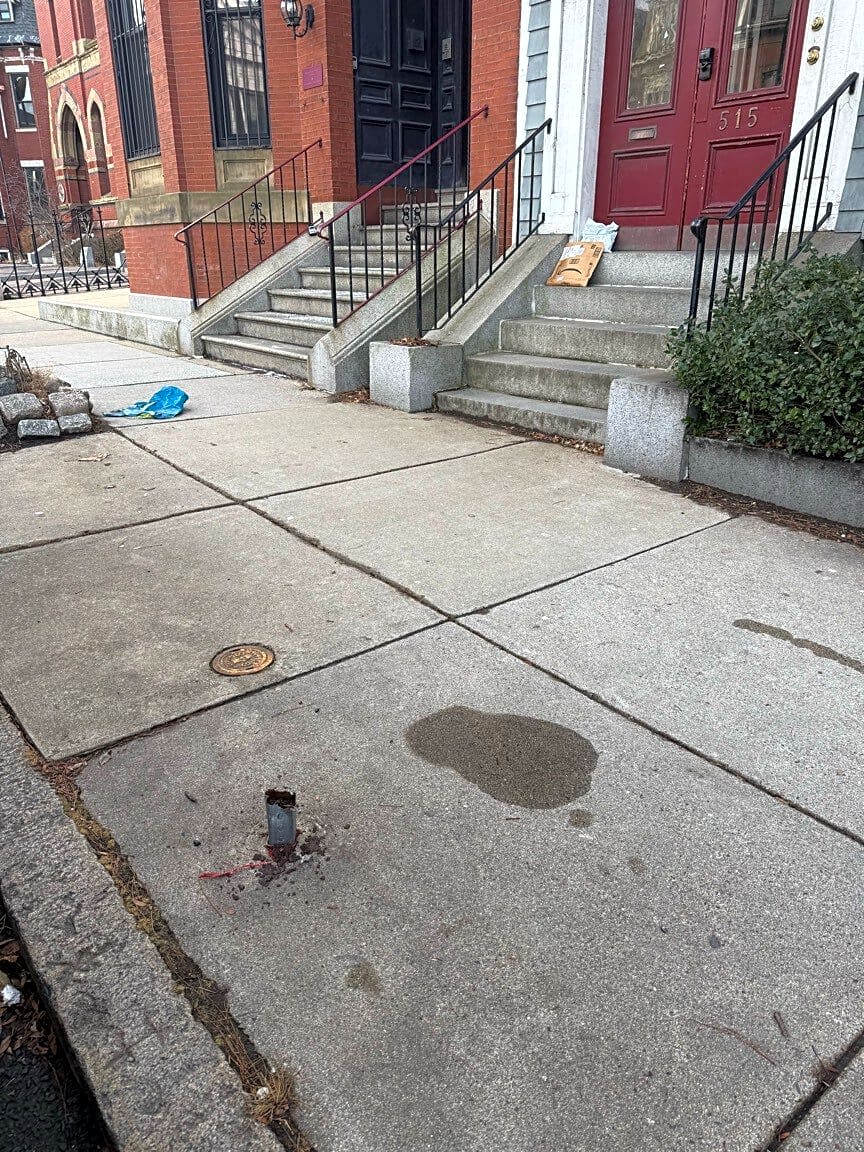 Image submitted with report