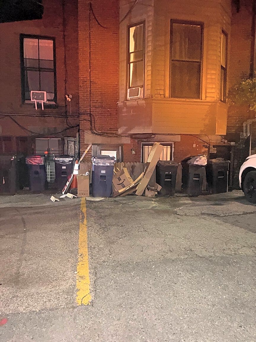 Image submitted with report