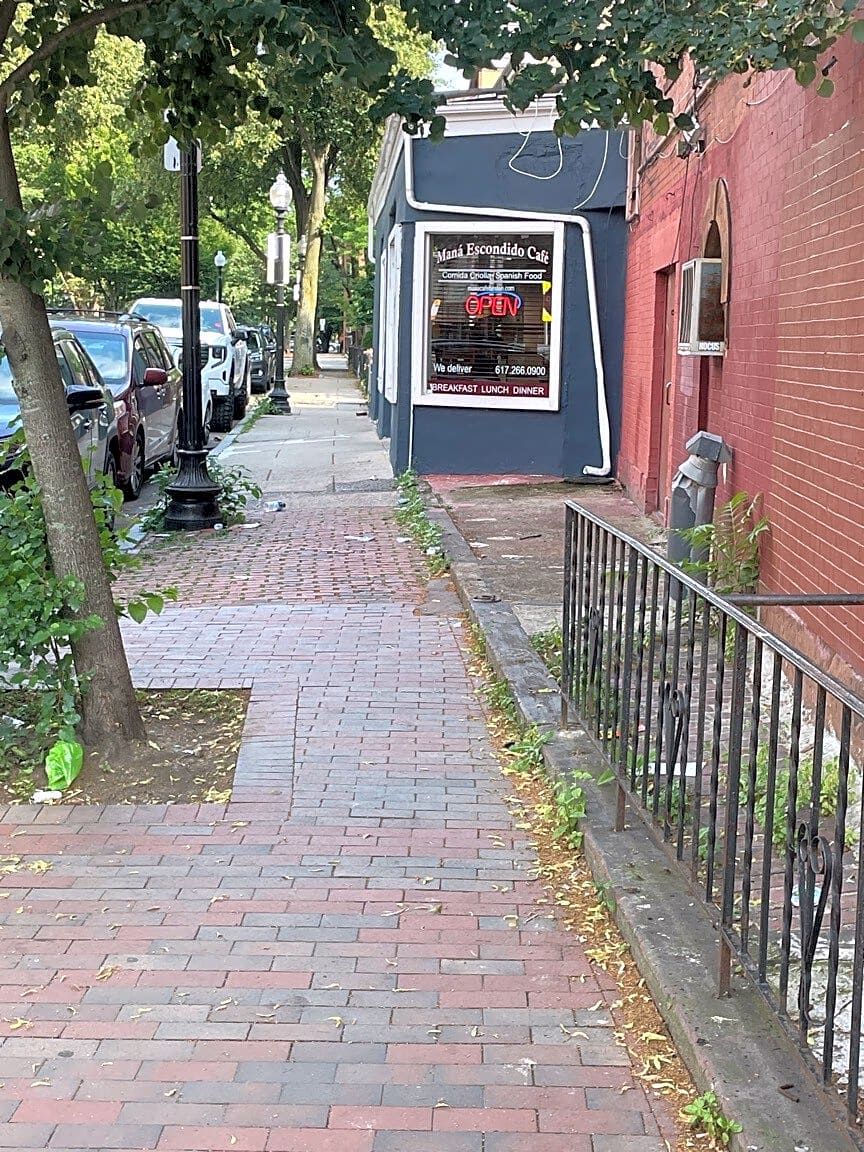 Image submitted with report