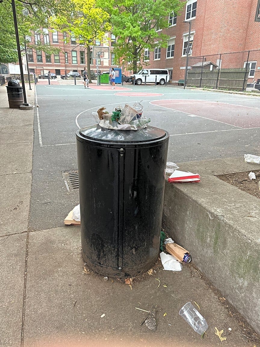 Image submitted with report