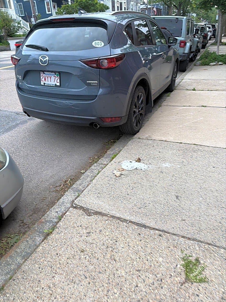 Image submitted with report