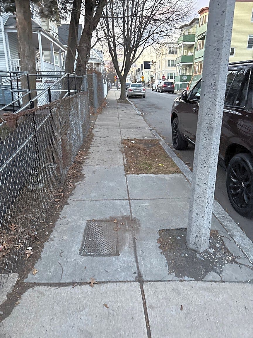 Image submitted with report