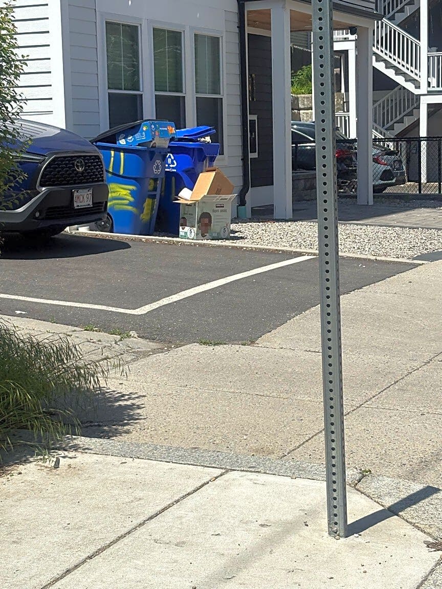 Image submitted with report