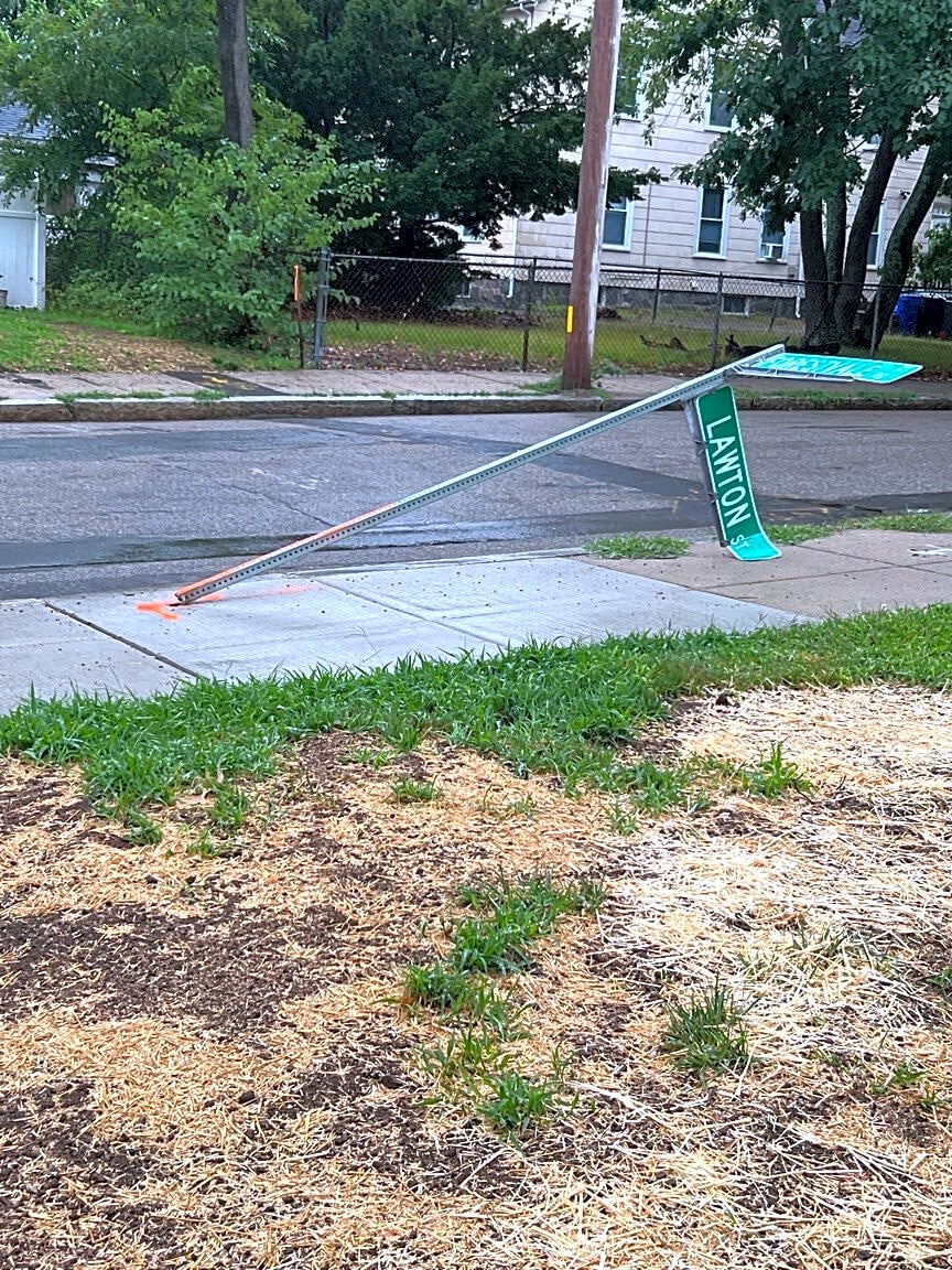 Image submitted with report