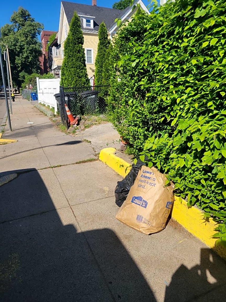 Image submitted with report