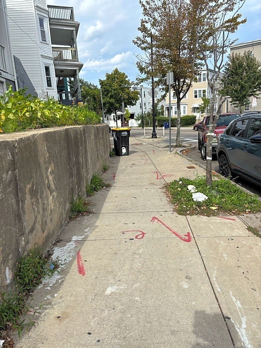 Image submitted with report
