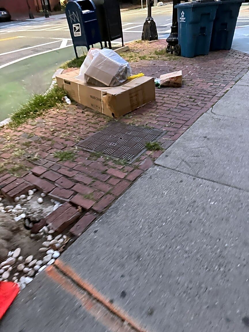 Image submitted with report