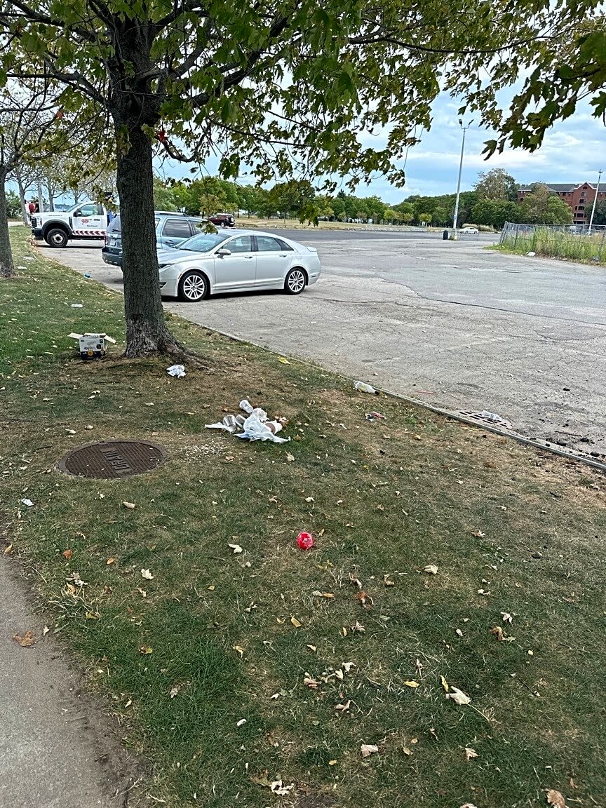 Image submitted with report
