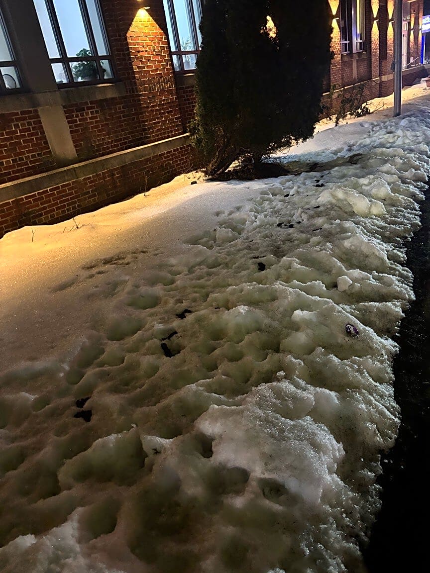 Image submitted with report