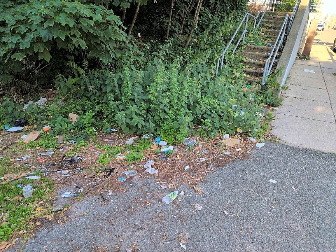 Image submitted with report