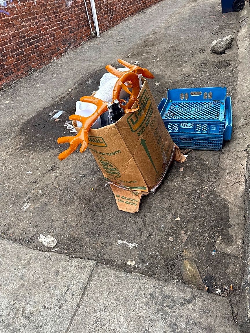 Image submitted with report