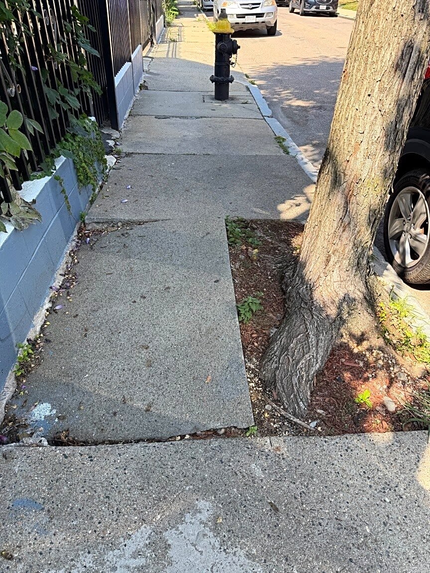 Image submitted with report