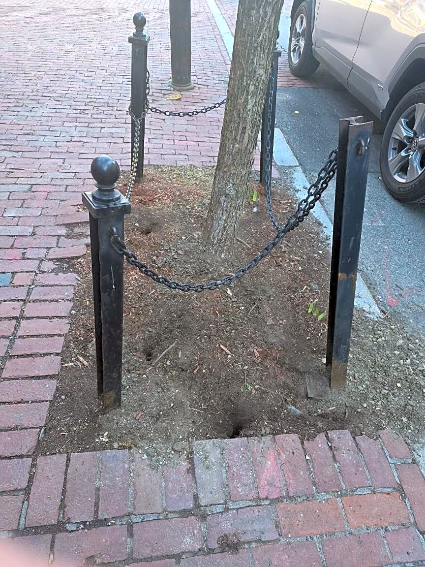 Image submitted with report