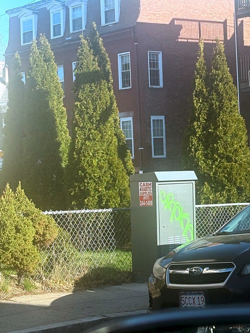 Image submitted with report