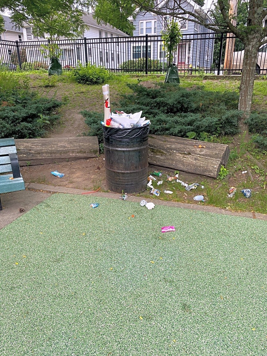 Image submitted with report