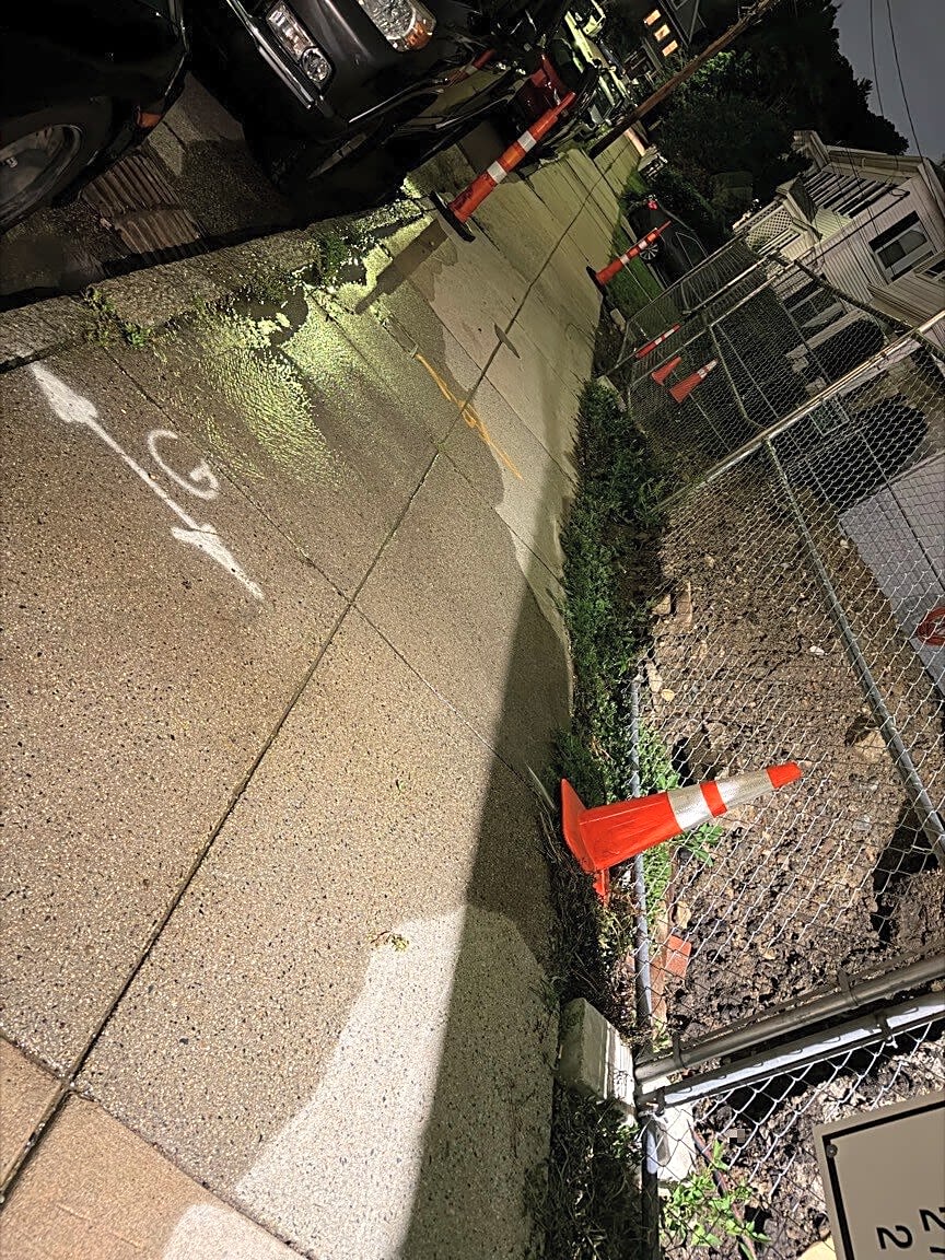 Image submitted with report