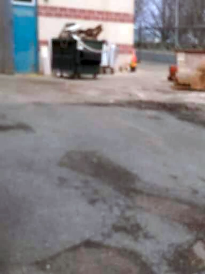 Image submitted with report