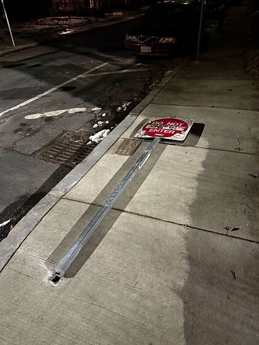 Image submitted with report