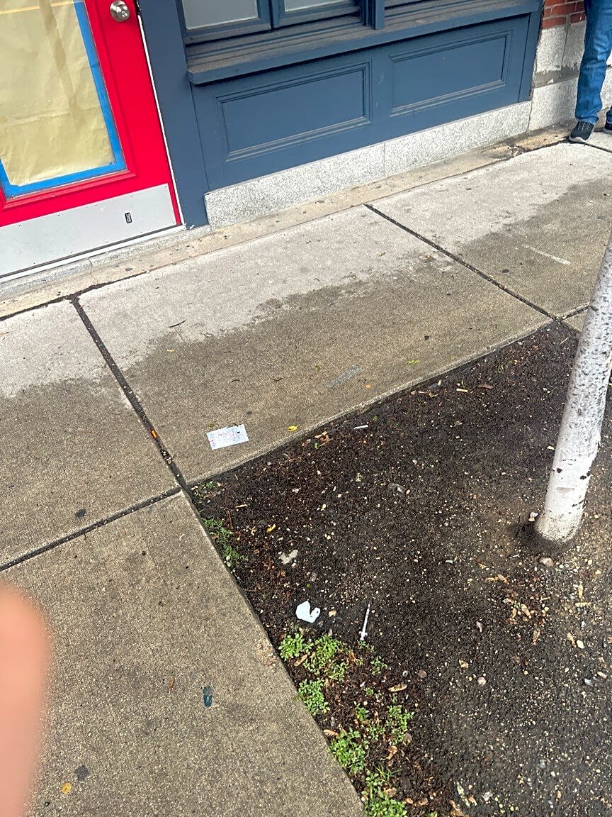 Image submitted with report
